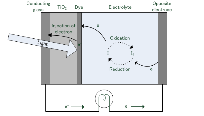 Operating principle of Dye-Sensitized Solar Cells